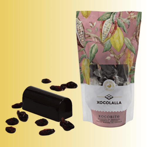 Xocobite chocolat et myrtilles
